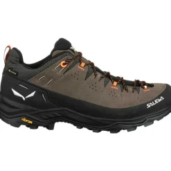 Alp Trainer 2 Gore-Tex Walking Shoes