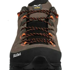 Alp Trainer 2 Gore-Tex Walking Shoes