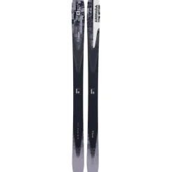 Declivity X 102 Skis 2026