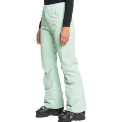 Diversion Women's Ski/Snowboard Pants