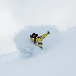 Family Tree Sketch Artist Freeride Snowboard 2026