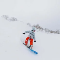 Family Tree Sketch Artist Freeride Snowboard 2026
