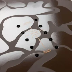 Fintwin All Mountain/Powder Snowboard 2025