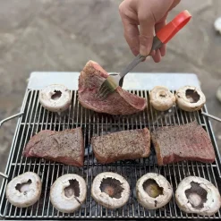 Fireplace Grill Attachment