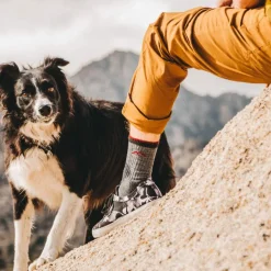 Hiker Boot Full Cushion Hiking Socks