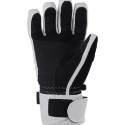 Icon Ski Glove