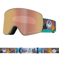 NFX2 Snowboard/Ski Goggles