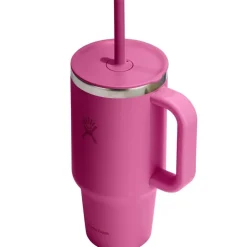 32oz All Around Travel Tumbler with Straw