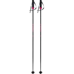 Phantastick Carbon Ski Poles