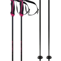 Phantastick Carbon Ski Poles