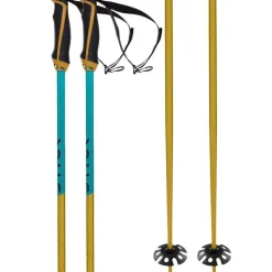 Phantastick Pair of Ski Poles
