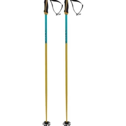 Phantastick Pair of Ski Poles