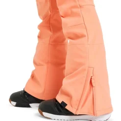 Rising High Women's Snowboard/Ski Pants