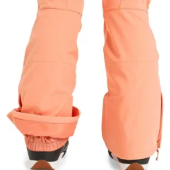 Rising High Women's Snowboard/Ski Pants