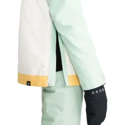 Shelter Women's Snowboard/Ski Jacket