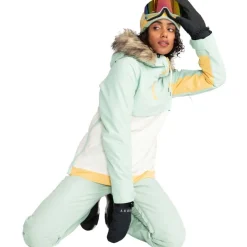 Shelter Women's Snowboard/Ski Jacket