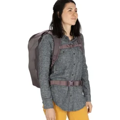 Sojourn Porter 30 Travel Backpack