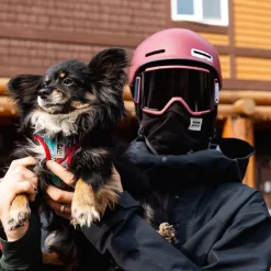 Squad XL Snowboard/Ski Goggles