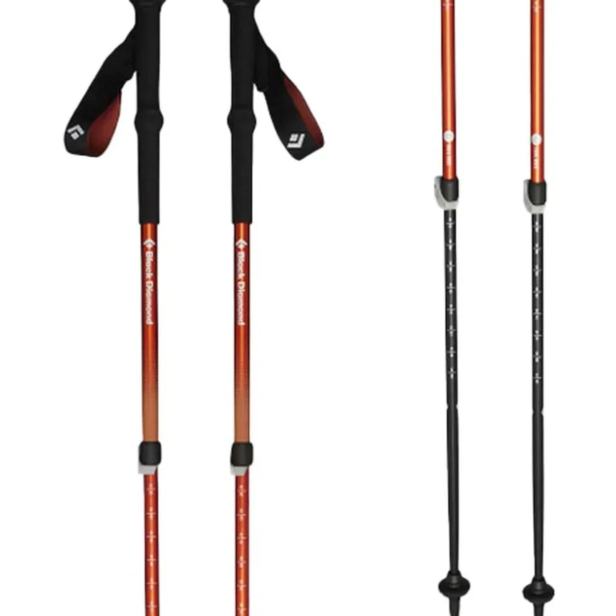 Trail Back Trekking Poles