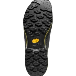 TX4 EVO Gore-Tex Approach Shoes